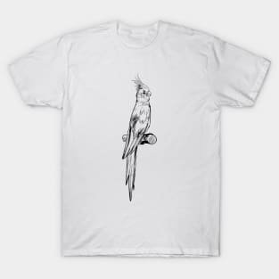 Cockatiel Hand Drawn T-Shirt